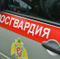 Росгвардия пресекла 34 правонарушения на Вологодчине за неделю - OnlineVologda.Ru