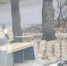 Утром на городском бульваре было найдено мертвое тело - Вологда-поиск