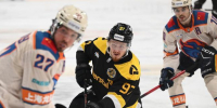 Фото: https://vk.com/hcseverstal - Вологда-поиск
