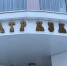 Вологодский "Теремок" встречает юных зрителей обновленным залом - ProGorod35.Ru