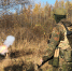 background - Вологда-поиск