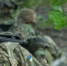 Минобороны Украины - Вологда-поиск
