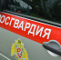 Двух нетрезвых вологжан, устроивших дебош, задержали сотрудники Росгвардии - Росгвардия