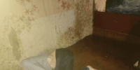 В Бабаевском округе задержаны родственники, истязавшие 65-летнюю женщину - OnlineVologda.Ru