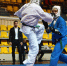 Вологодские кудоисты завоевали медали на чемпионате Северо-Западного федерального округа - OnlineVologda.Ru