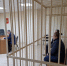 В Бабаевском районе заключили под стражу женщину, державшую мать на цепи - OnlineVologda.Ru