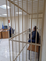 В Бабаевском районе заключили под стражу женщину, державшую мать на цепи