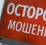 Фото: «Вологда-поиск» - Вологда-поиск
