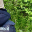 Жителя Вологодской области будут судить за непредумышленное убийство брата на охоте - ProGorod35.Ru
