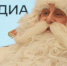 Фото Тимура Бойкова/Вологда-Поиск - Вологда-поиск