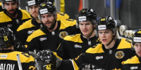Фото: https://vk.com/hcseverstal - Вологда-поиск