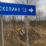 Фото автора. - Вологда-поиск