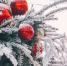 Фото: «Вологда-поиск» - Вологда-поиск