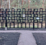 Вологодские волонтеры установили народный мемориал «Стена памяти» на Новой Малуксе - Вологда.РФ