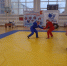 Чемпионат и Первенство Вологодской области по универсальному бою пройдут в Череповце - Министерство спорта