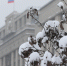 background - Вологда-поиск