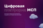 Около 30 полезных онлайн-сервисов доступно вологодским предпринимателям на цифровой платформе «МСП.РФ»