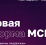 Около 30 полезных онлайн-сервисов доступно вологодским предпринимателям на цифровой платформе «МСП.РФ». - Вологодский муниципальный округ