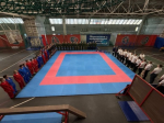 60 универсальных бойцов выступили на Чемпионате и первенстве Вологодской области в Череповце