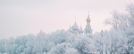 Фото: «Вологда-поиск»