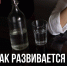 Вологодские медики рассказали о болезнях алкозависимых - OnlineVologda.Ru
