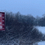 Фото Тимура Бойкова/Вологда-Поиск - Вологда-поиск