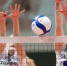 Фото: https://vk.com/chervolley - Вологда-поиск
