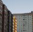 background - Вологда-поиск