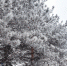 background - Вологда-поиск