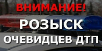 В Вологде разыскивают свидетелей ДТП с собакой на ул. Некрасова - Вологда.РФ