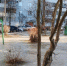 Вологда-Поиск - Вологда-поиск