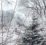 background - Вологда-поиск