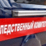 В Вологде перед судом предстанет женщина, напавшая с ножом на пару - ProGorod35.Ru