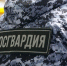 В Вологде росгвардейцы задержали мужчину, устроившего дебош в увеселительном заведении - Росгвардия