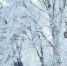 background - Вологда-поиск