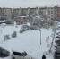 Погода будет нервничать весь декабрь: Роман Вильфанд обновил прогноз - ProGorod35.Ru