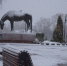 background - Вологда-поиск