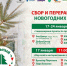 17 января жители Вологды могут сдать ели на переработку в рамках акции «дЕльный круговорот». - Администрация г. Вологда