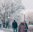 Фото Тимура Бойкова/Вологда-Поиск - Вологда-поиск