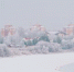 Фото Тимура Бойкова/Вологда-Поиск - Вологда-поиск