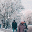 портал - Вологда-поиск