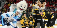Фото: https://vk.com/hcseverstal - Вологда-поиск