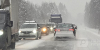 Фото: Вологда-поиск - Вологда-поиск