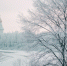 background - Вологда-поиск