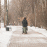 background - Вологда-поиск