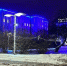 Фото Геннадия Хабарова/Вологда-Поиск - Вологда-поиск