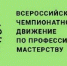 В феврале на Вологодчине пройдёт региональный этап Чемпионата по профессиональному мастерству «Профессионалы» - Министерство культуры