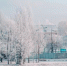 Вологда-Поиск - Вологда-поиск