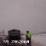 В Вологодской области сотрудники ДПС помогли девушке, в машине которой закончилось топливо - OnlineVologda.Ru