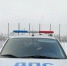 Фото пресс-службы УМВД по Вологодской области - Вологда-поиск